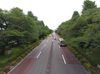 daigakudori20250602