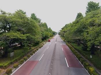 daigakudori20250809