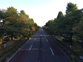 daigakudori20250809