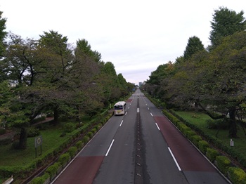 daigakudori20250809