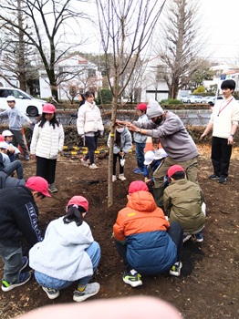 maihime7326_20260226_2